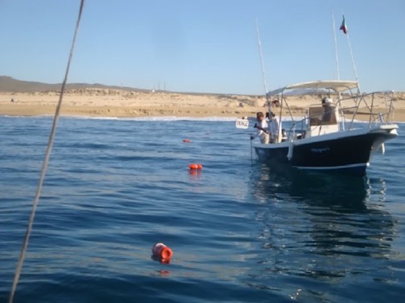 Servicios de Geofísica