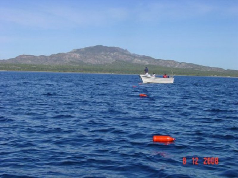 Servicios de Geofísica